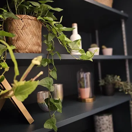 Walk To Seine Louvre Apartman Párizs