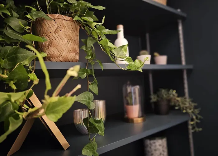 Walk To Seine Louvre דירה פריז