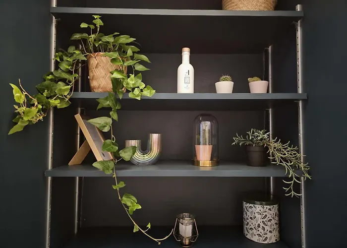 Walk To Seine Louvre * פריז